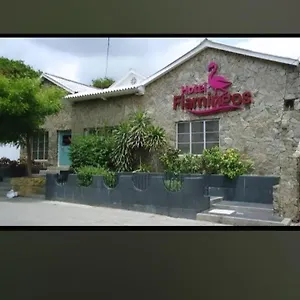 Flamingo Barranquilla (Atlantico)